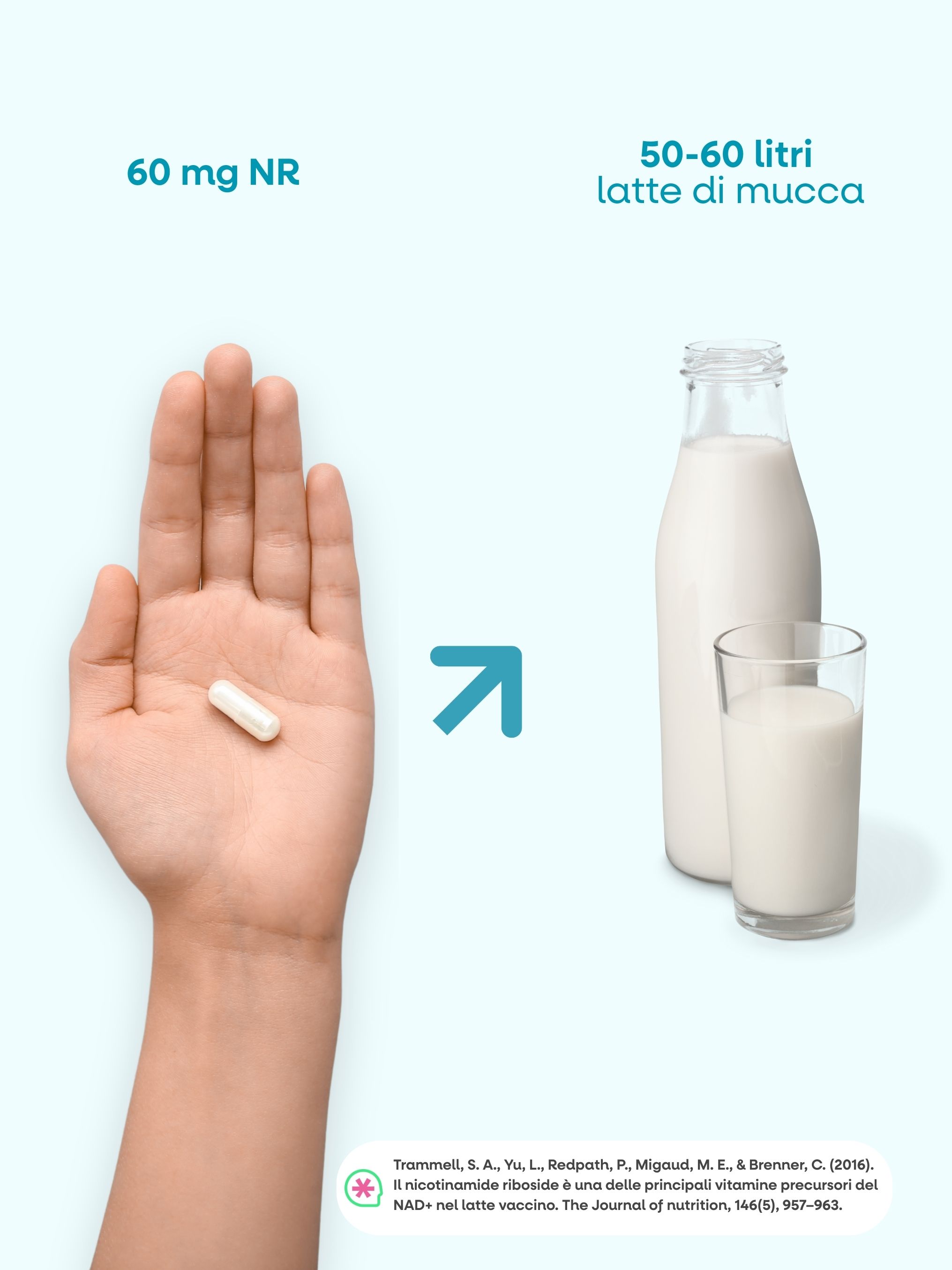 (Italština)